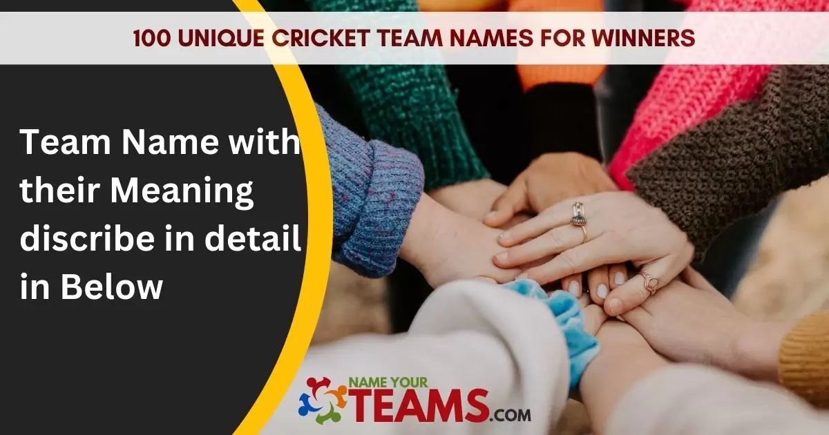 100 Unique Cricket Team Names For Winners