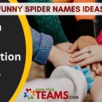 Funny Spider Names Ideas