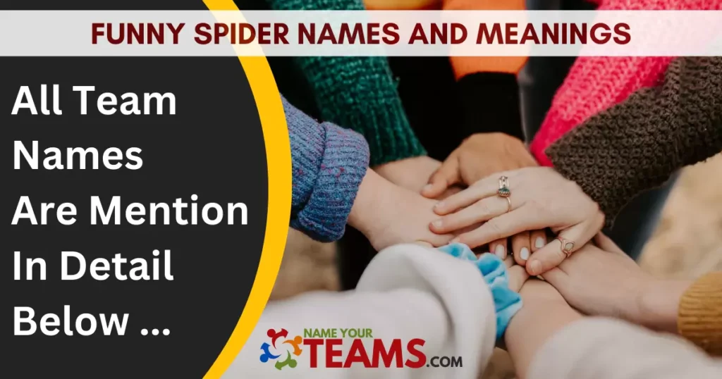 Funny Spider Names and Meanings