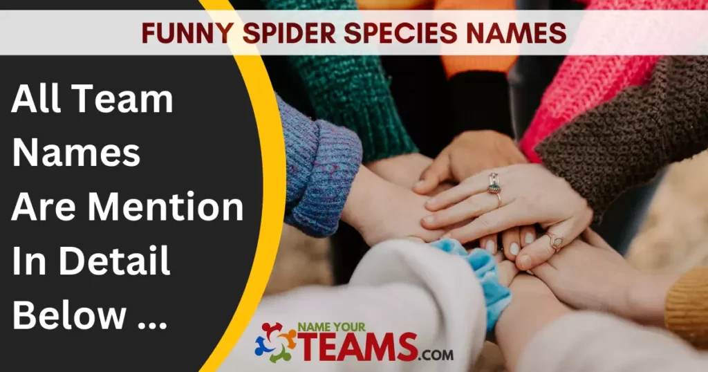 Funny Spider Species Names
