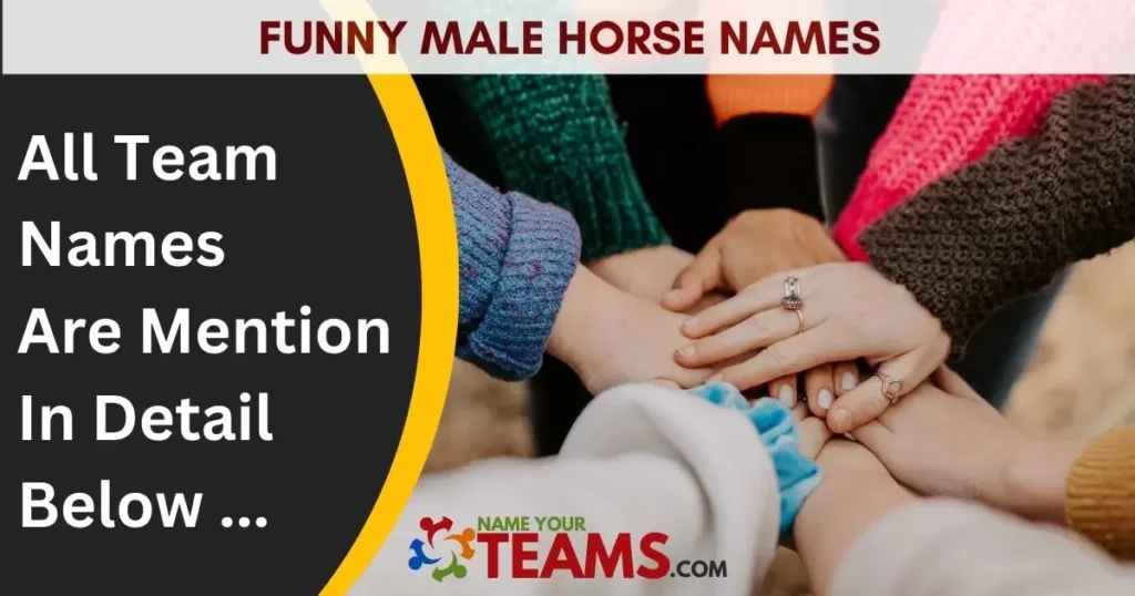 Funny Male Horse Names