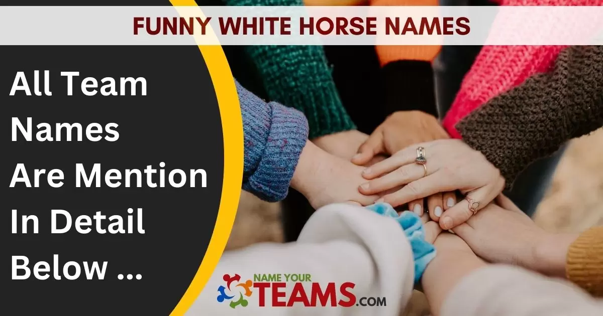 Funny White Horse Names